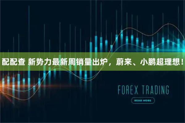 配配查 新势力最新周销量出炉，蔚来、小鹏超理想！