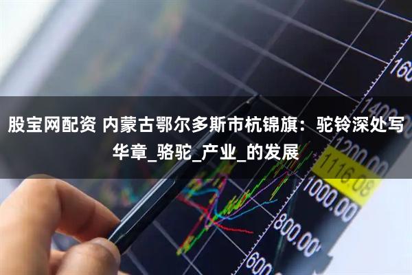 股宝网配资 内蒙古鄂尔多斯市杭锦旗：驼铃深处写华章_骆驼_产业_的发展