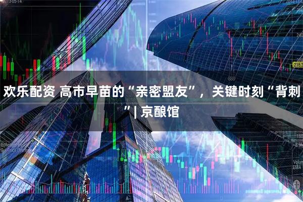 欢乐配资 高市早苗的“亲密盟友”，关键时刻“背刺”| 京酿馆